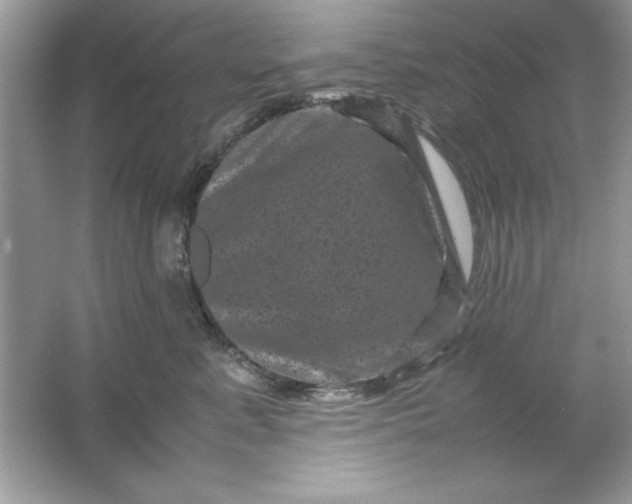 X0000061760619200512161745