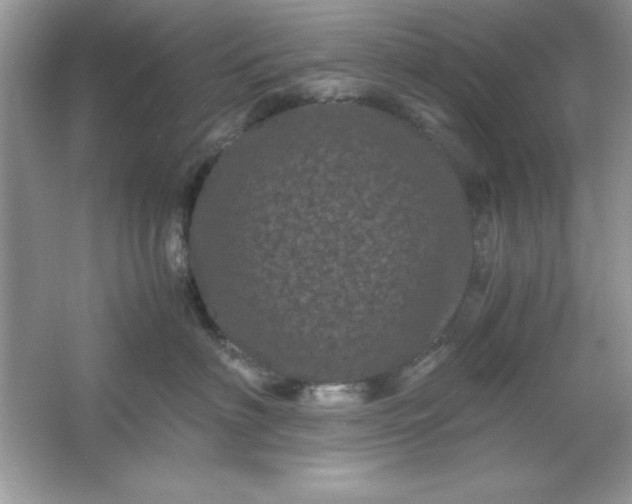 X0000061760622200512161745