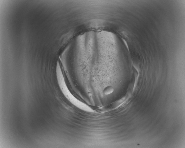 X0000061760623200512161745