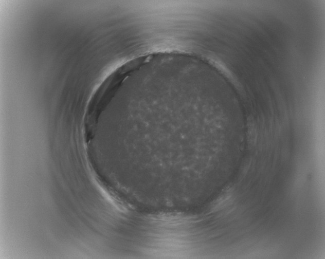 X0000061760626200512161744