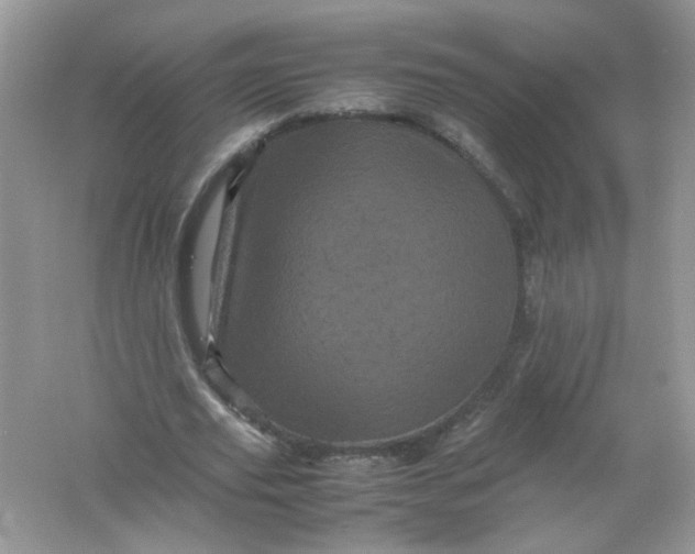 X0000061760629200512161744