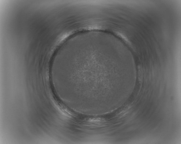 X0000061760631200512161744