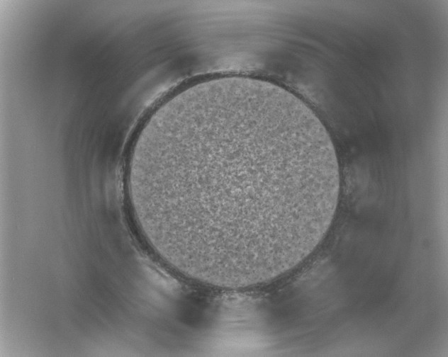 X0000061760632200512161744