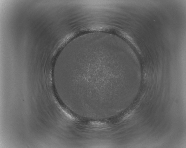 X0000061760633200512161744