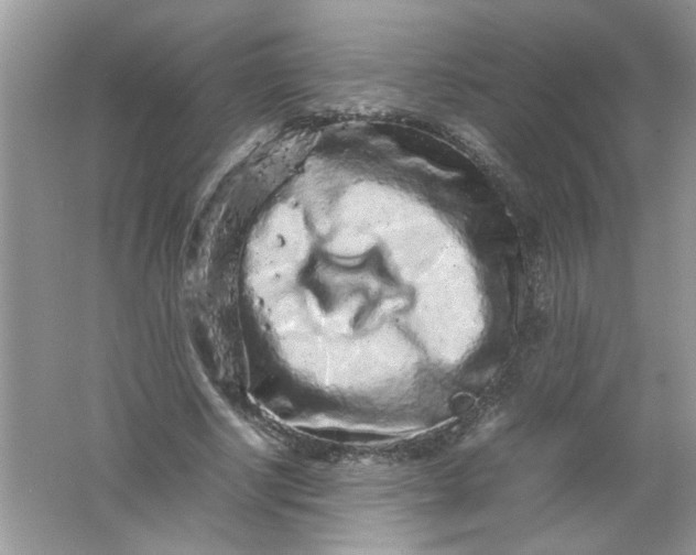 X0000061760634200512161744