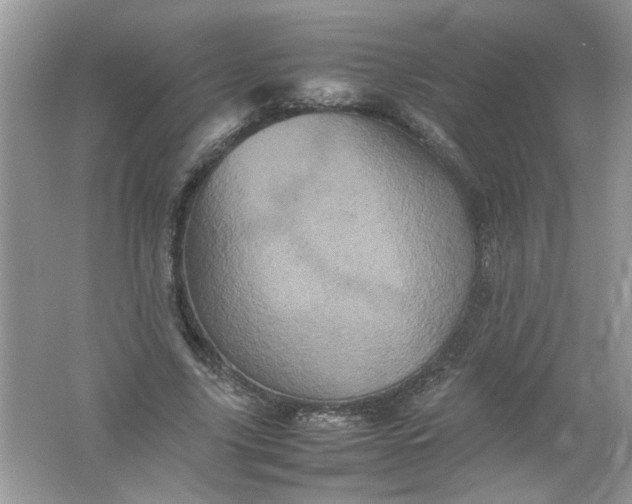 X0000061760635200512161744