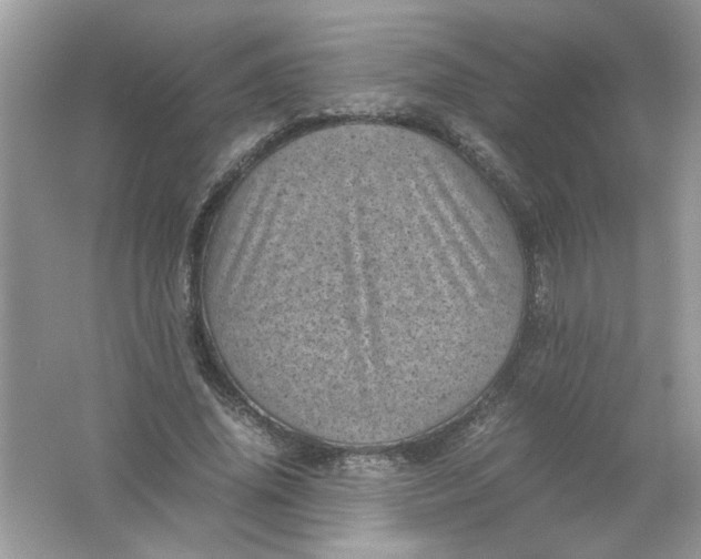 X0000061760636200512161744