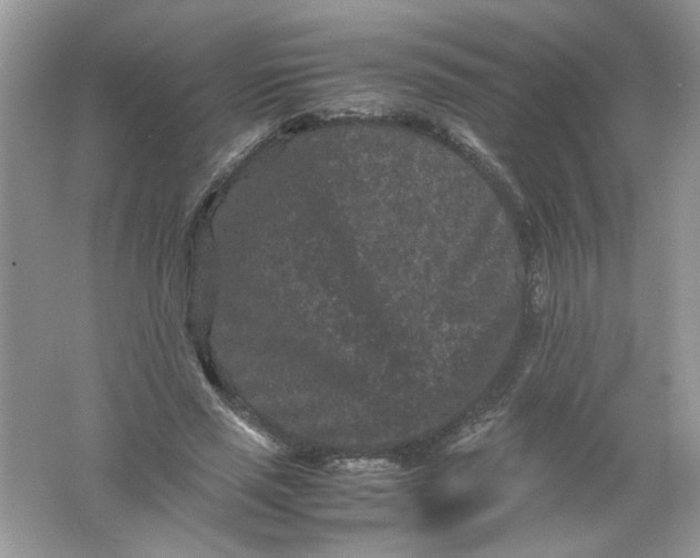 X0000061760637200512161744