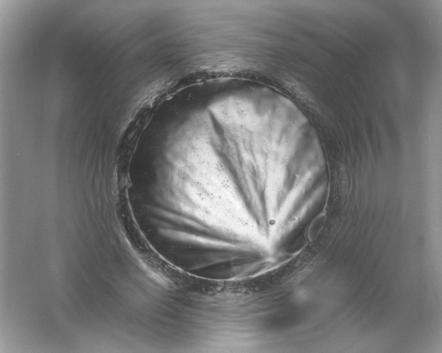 X0000061760638200512161744