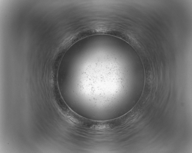 X0000061760639200512161744