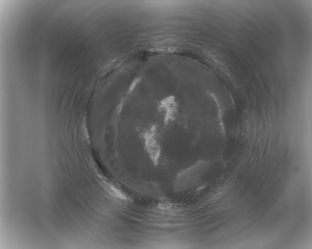 X0000061760641200512161744