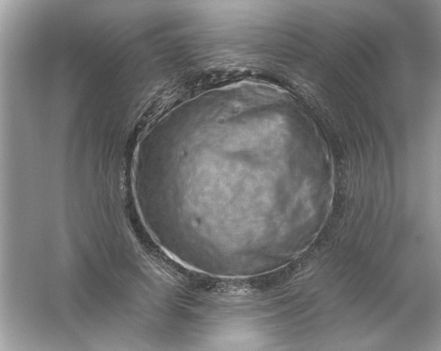 X0000061760642200512161744