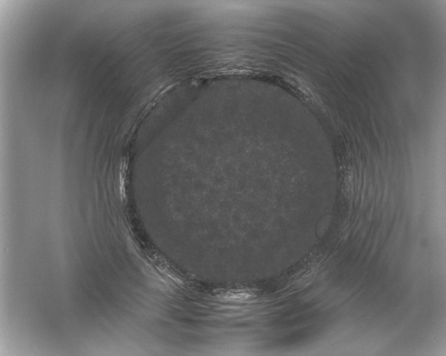 X0000061760643200512161744