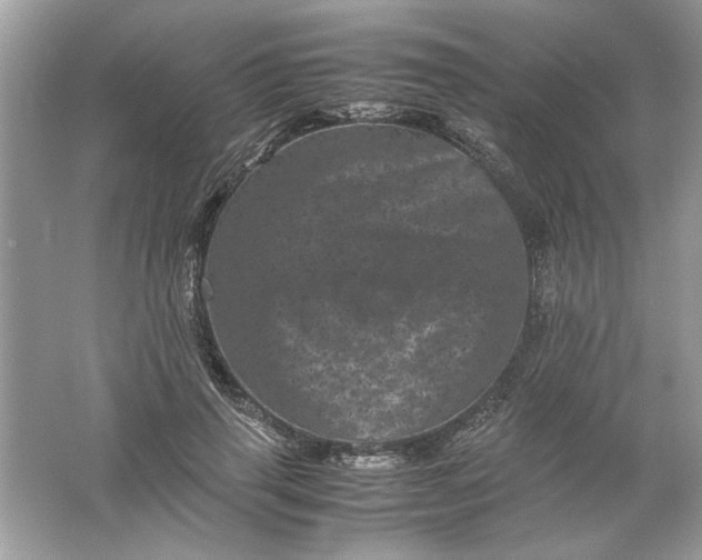 X0000061760645200512161744