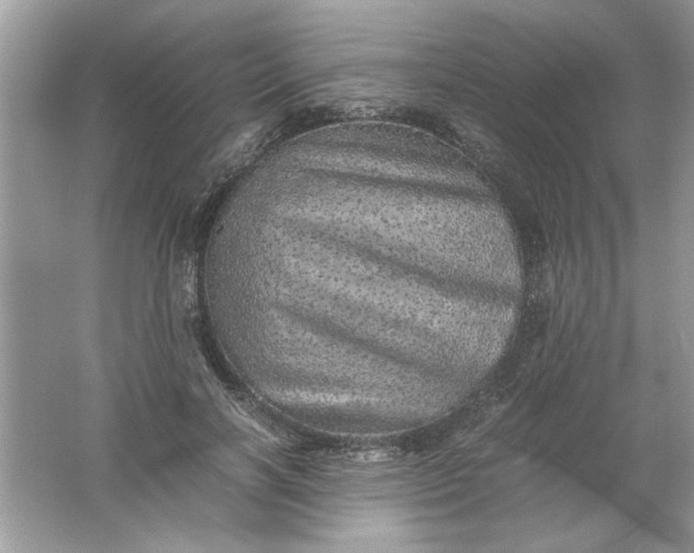 X0000061760646200512161744