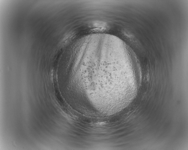 X0000061760647200512161744