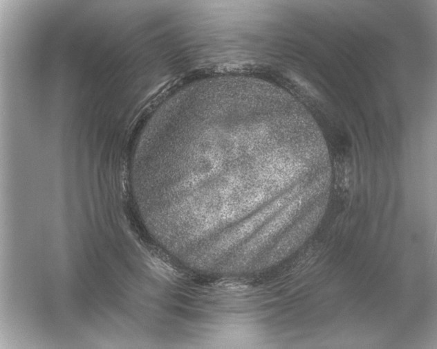 X0000061760648200512161744