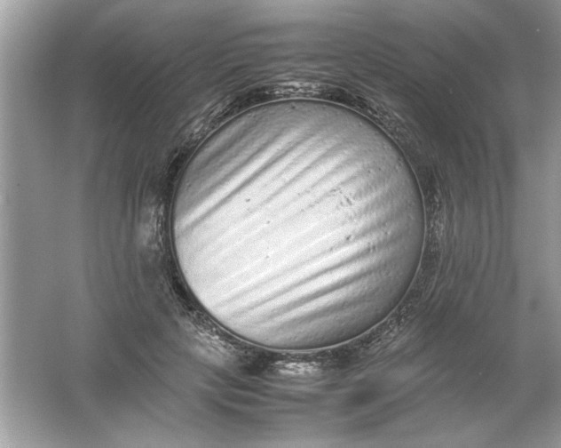 X0000061760649200512161744