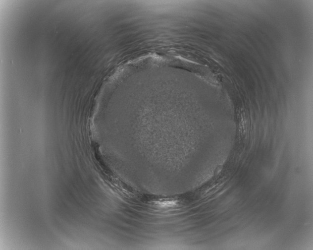 X0000061760651200512161745