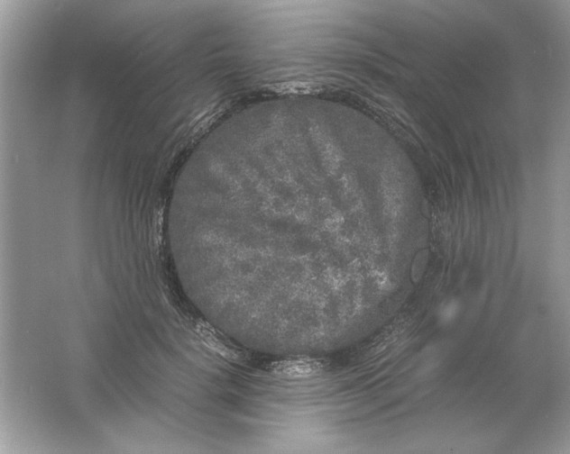 X0000061760652200512161745