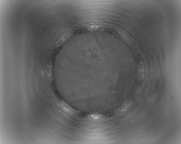 X0000061760654200512161745