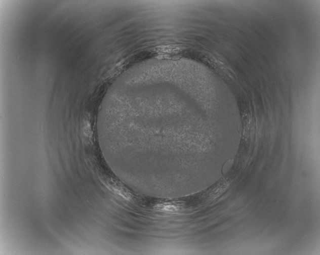 X0000061760655200512161745