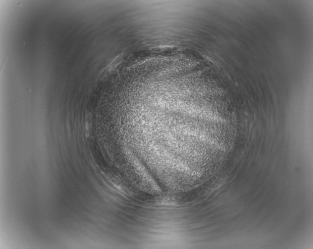 X0000061760656200512161745