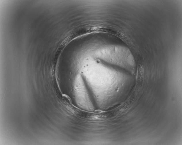 X0000061760657200512161745