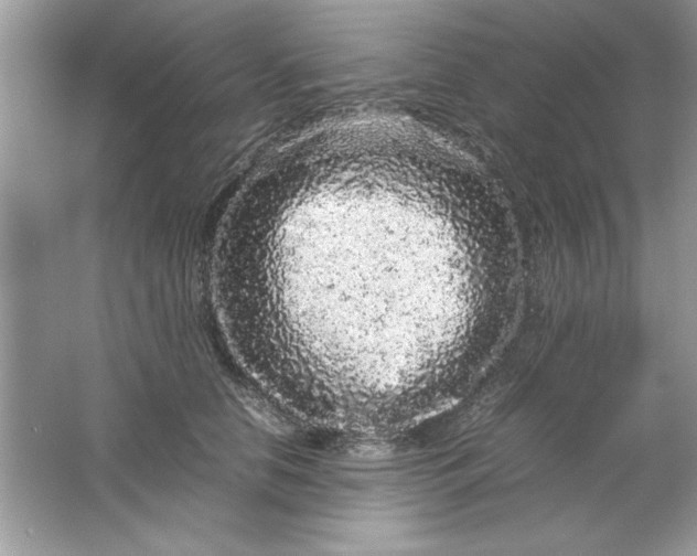 X0000061760658200512161745