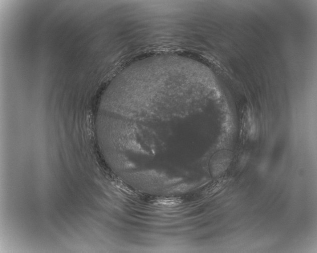 X0000061760659200512161745