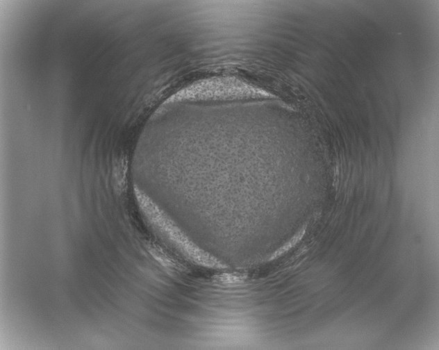 X0000061760660200512161745