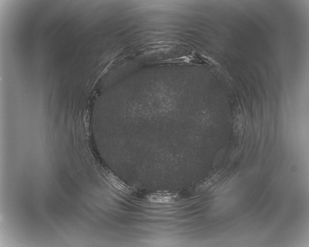 X0000061760661200512161745