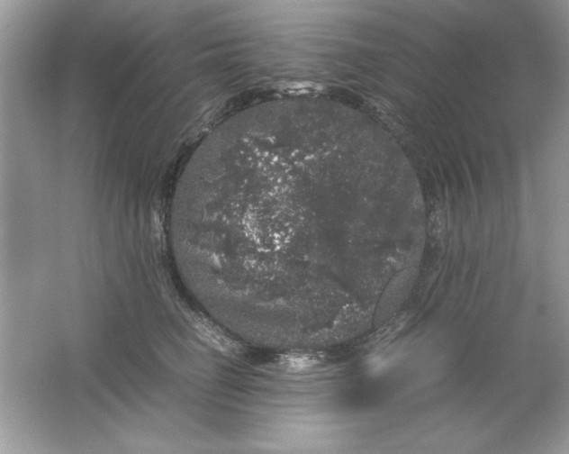 X0000061760662200512161745