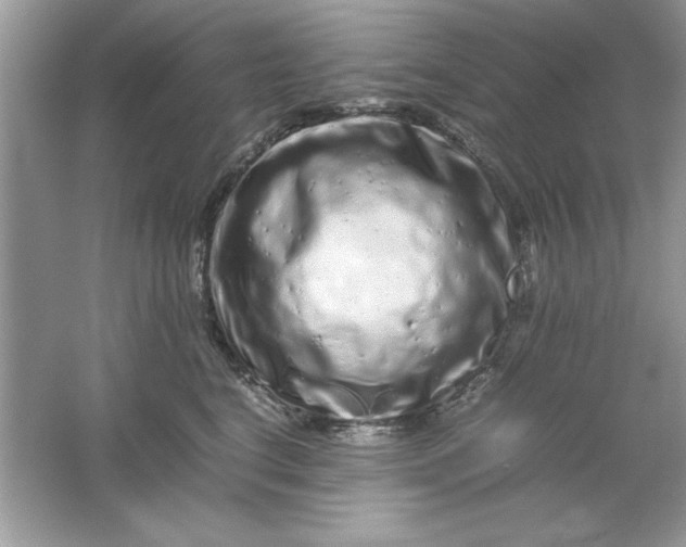 X0000061760664200512161745