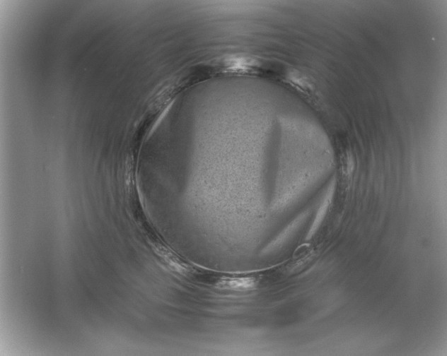 X0000061760665200512161745