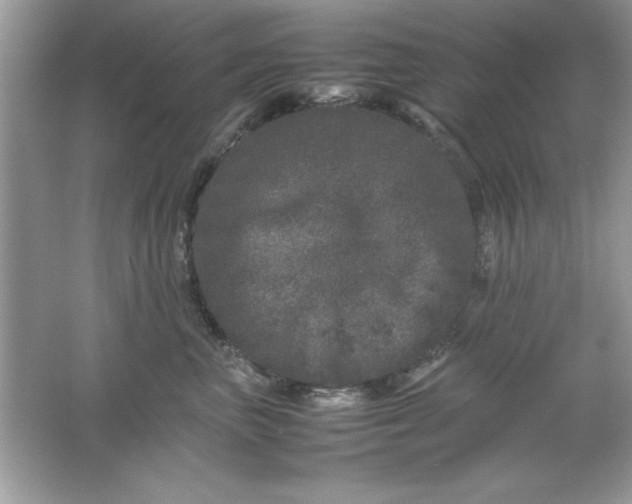 X0000061760667200512161745