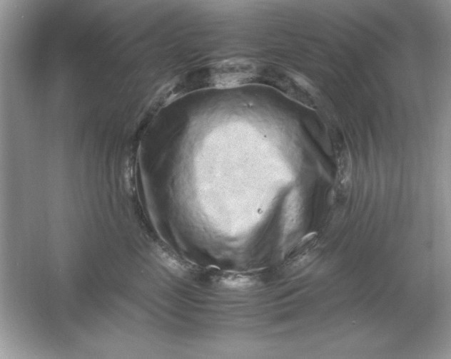 X0000061760669200512161745