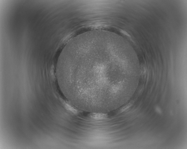 X0000061760670200512161745