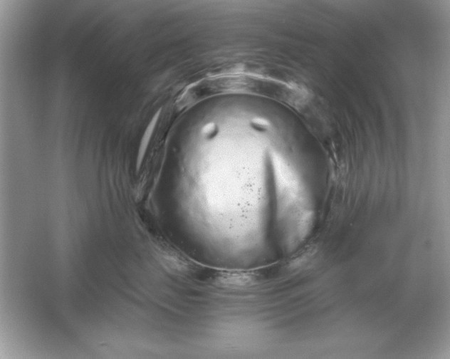 X0000061760671200512161745