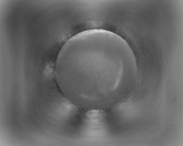 X0000061760672200512161745