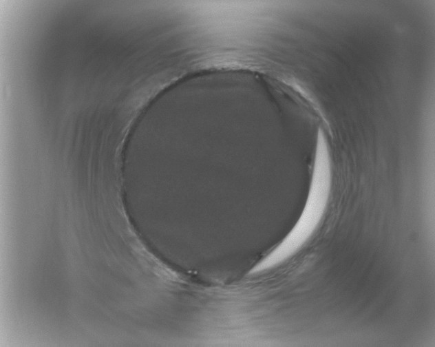 X0000061760673200512161744