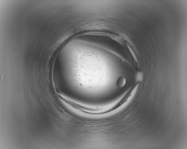 X0000061760675200512161744