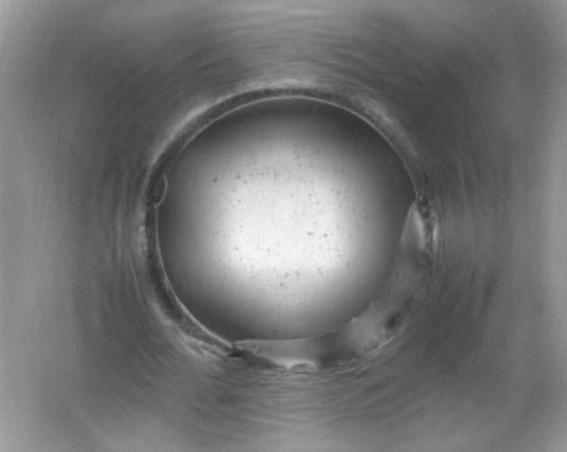 X0000061760676200512161744