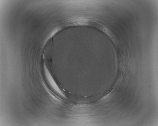 X0000061760677200512161744