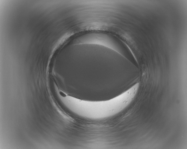 X0000061760678200512161744