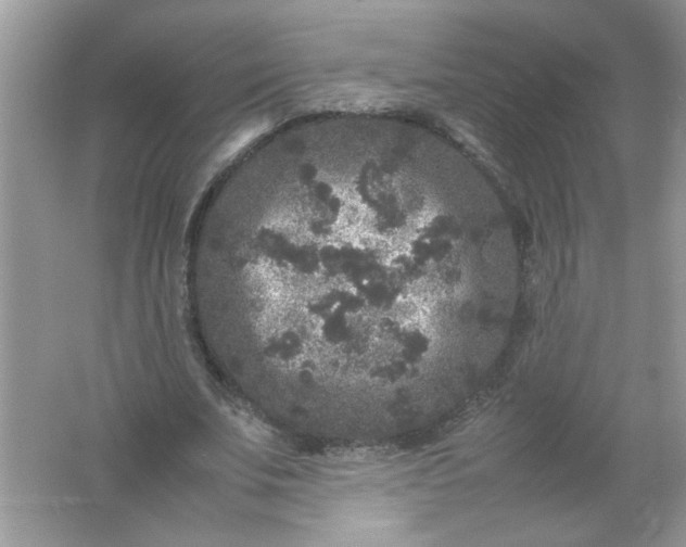 X0000061760679200512161744