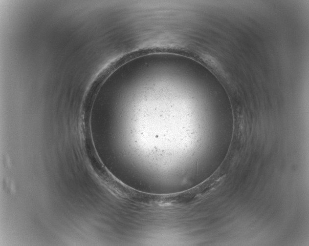 X0000061760680200512161744