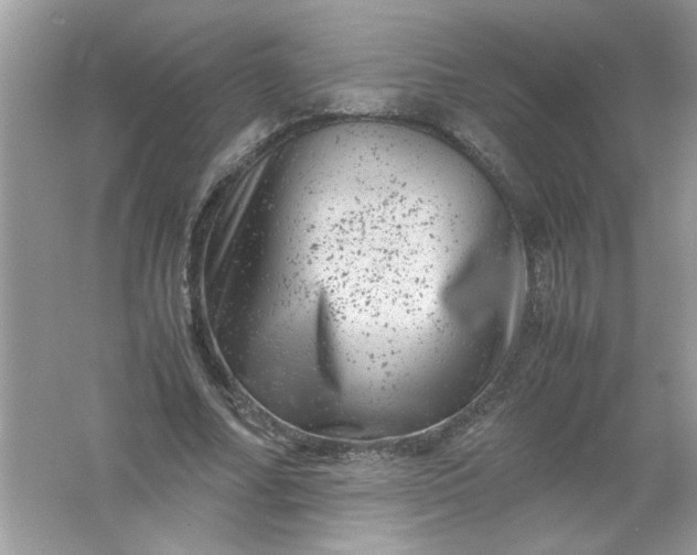 X0000061760682200512161744