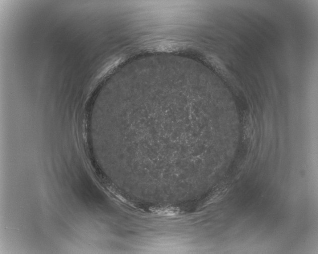 X0000061760683200512161744