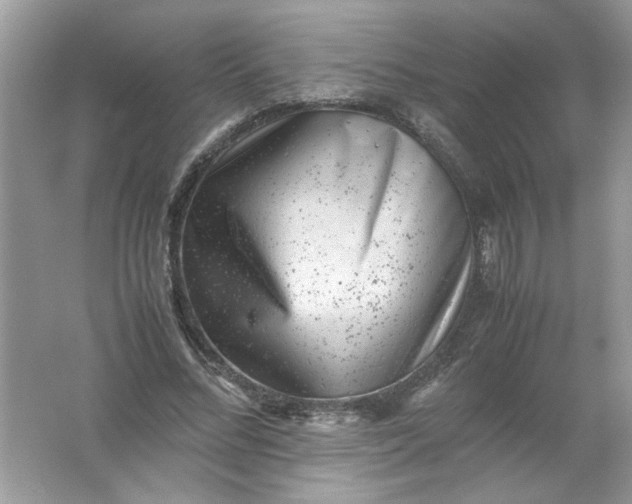 X0000061760684200512161744